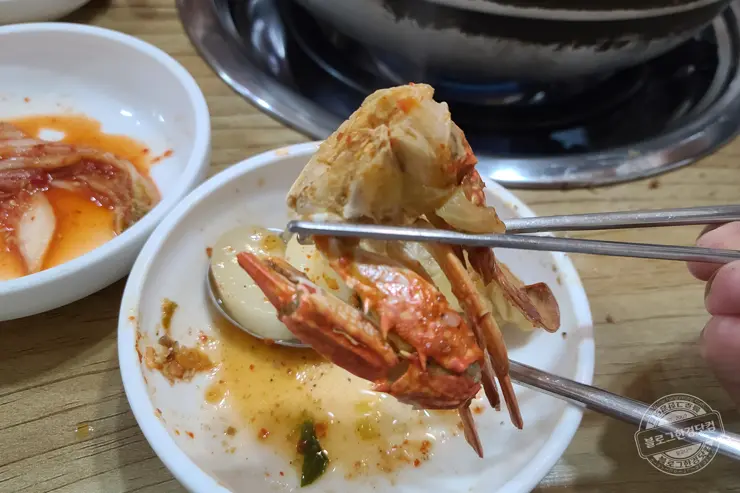 삼손만두전골 청주 상당구 탑동 만두전골맛집 손만두전문점 내돈내먹