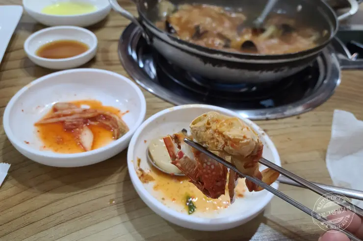 삼손만두전골 청주 상당구 탑동 만두전골맛집 손만두전문점 내돈내먹