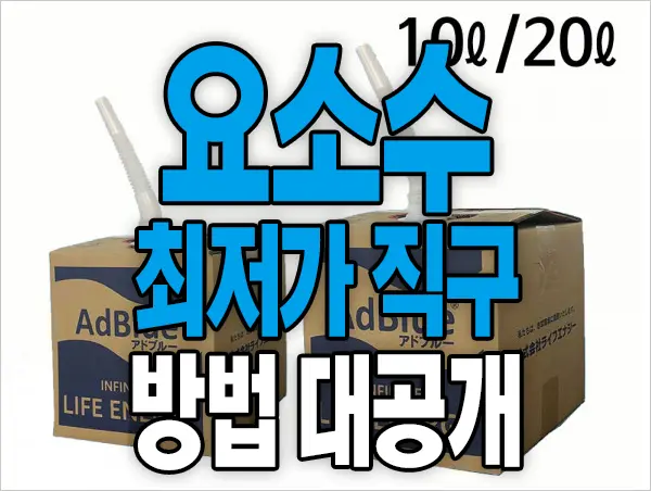 요소수 대란 걱정없이 해외 직구하기 엄청쉬움 주의