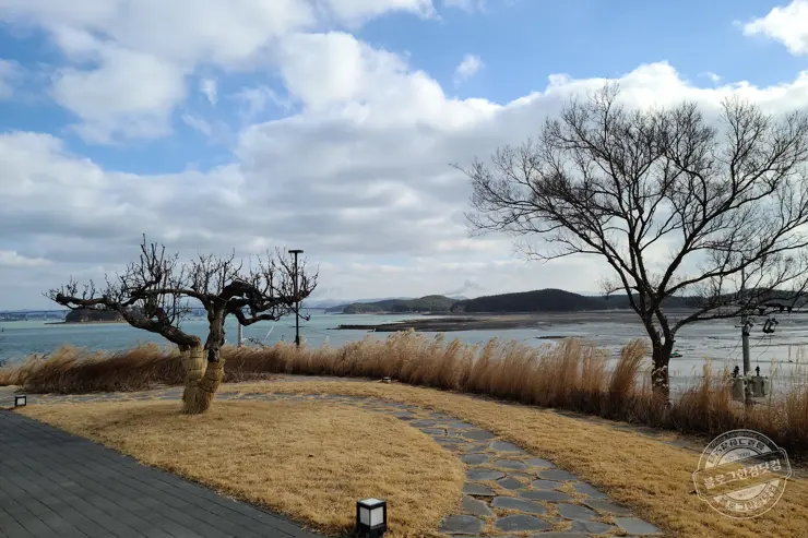 By The O 바이더오 보령 원산도 바다뷰카페 인스타감성 내돈내먹