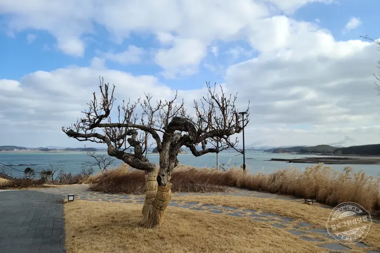 By The O 바이더오 보령 원산도 바다뷰카페 인스타감성 내돈내먹