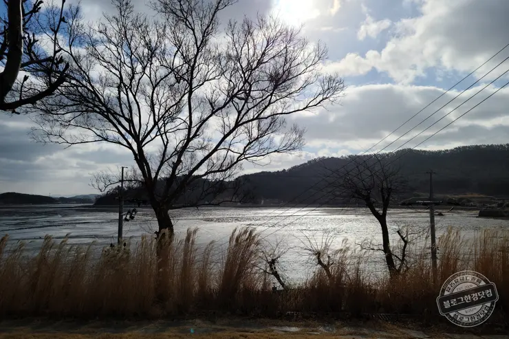 By The O 바이더오 보령 원산도 바다뷰카페 인스타감성 내돈내먹