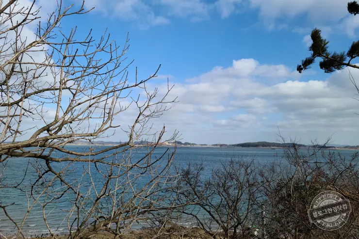 By The O 바이더오 보령 원산도 바다뷰카페 인스타감성 내돈내먹