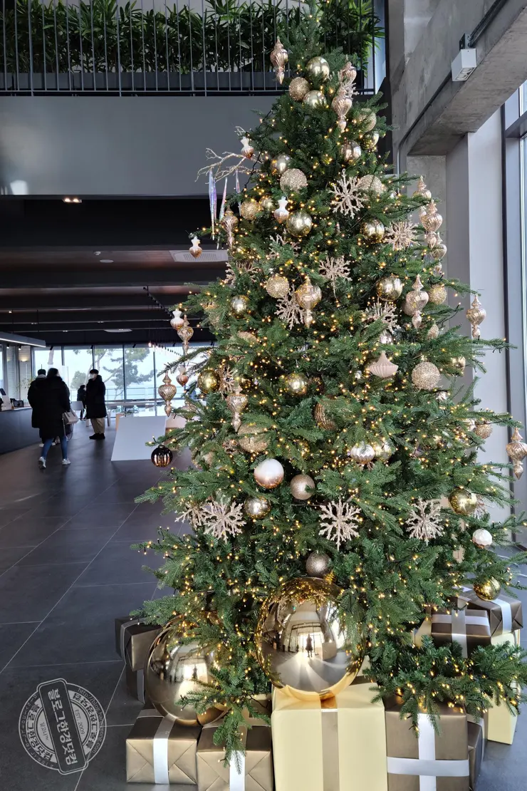 By The O 바이더오 보령 원산도 바다뷰카페 인스타감성 내돈내먹