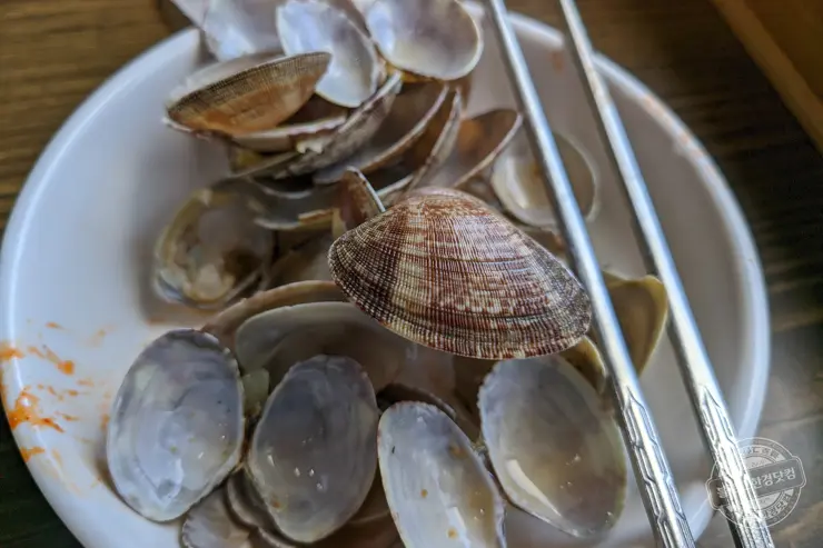 오양손칼국수 무한리필 보령 오천 맛집 내돈내먹 후기와 보령 충청수영성