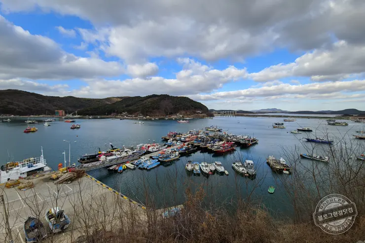오양손칼국수 무한리필 보령 오천 맛집 내돈내먹 후기와 보령 충청수영성