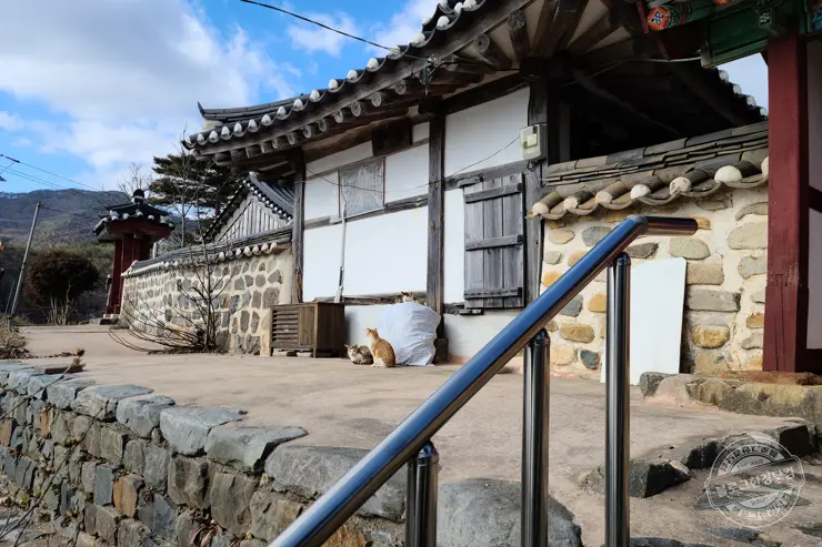 충남 보령 여행 가볼만한 명소 원산도, 충청수영성, 화암서원, 천북 청보리밭 폐목장