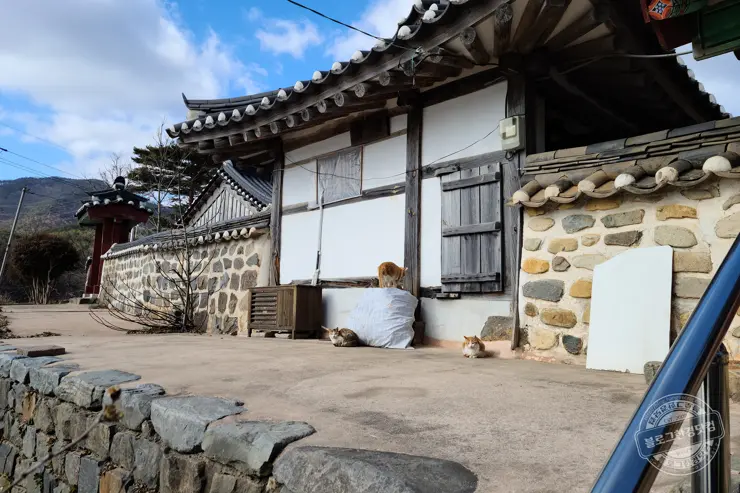 충남 보령 여행 가볼만한 명소 원산도, 충청수영성, 화암서원, 천북 청보리밭 폐목장
