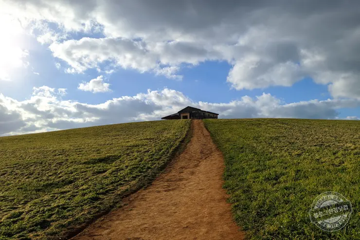 충남 보령 여행 가볼만한 명소 원산도, 충청수영성, 화암서원, 천북 청보리밭 폐목장