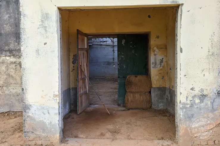 충남 보령 여행 가볼만한 명소 원산도, 충청수영성, 화암서원, 천북 청보리밭 폐목장