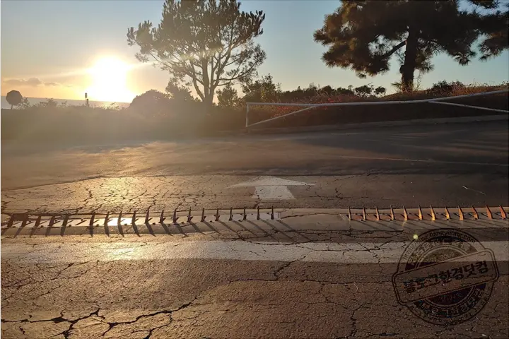 알라모 이코노미카렌탈스 미국 여행 렌터카 풀커버리지의 중요성 렌터카 2회 변경 사연 (운전자 과실 플랫 타이어 3개)