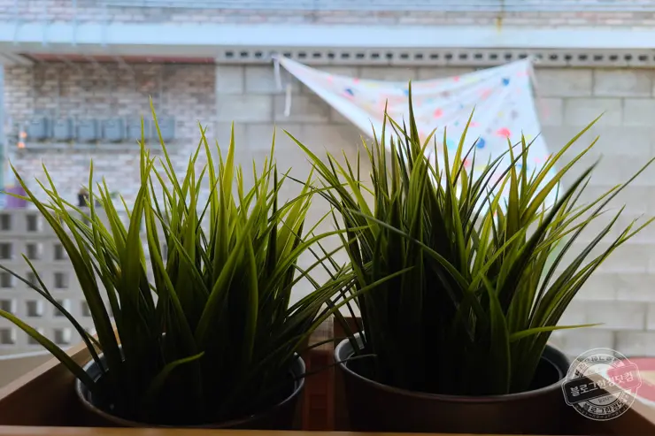 키리엘 카페 경춘선 남춘천역 인근 자그마한 감성 카페 내돈내산