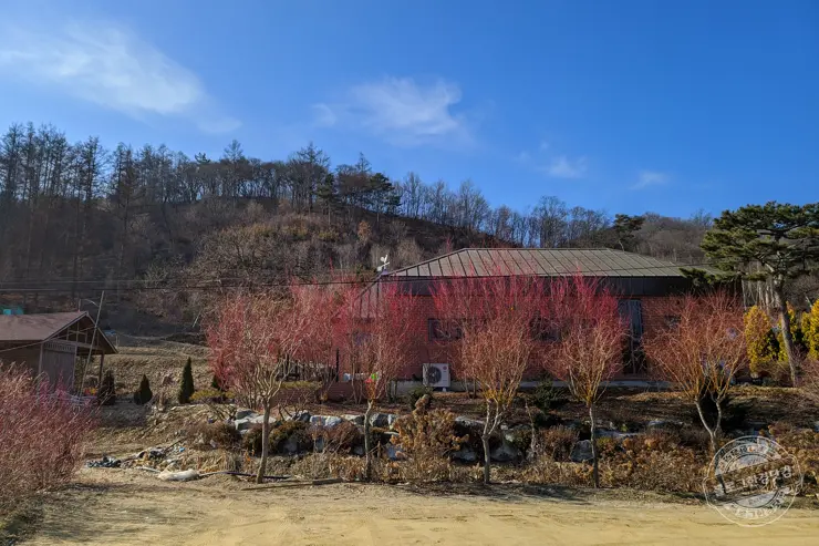 충북 괴산 트리하우스 가든 정원 카페 내돈내산