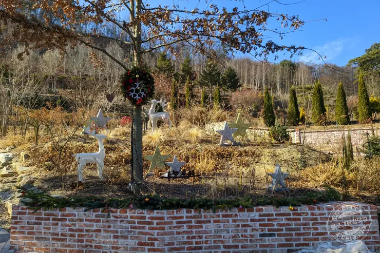 충북 괴산 트리하우스 가든 정원 카페 내돈내산