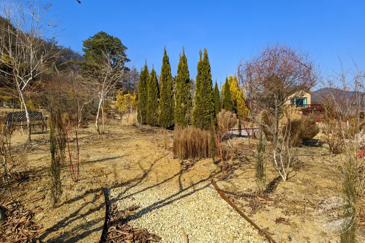 충북 괴산 트리하우스 가든 정원 카페 내돈내산