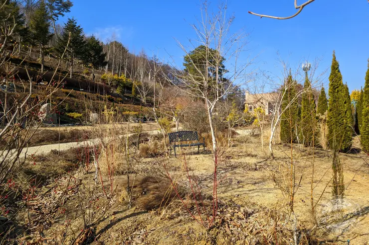 충북 괴산 트리하우스 가든 정원 카페 내돈내산