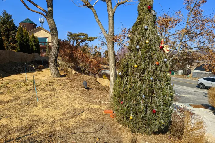 충북 괴산 트리하우스 가든 정원 카페 내돈내산