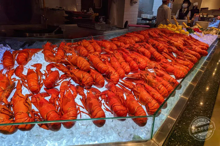 바이킹스워프 강남 코엑스점 1인 110달러 무제한 랍스터(바닷가재) 부페 내돈내먹
