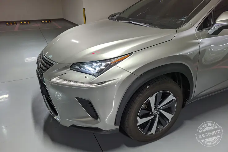 렉서스 NX300h 렌터카 일주일 시승후기 장단점 (ACC, 네비게이션)