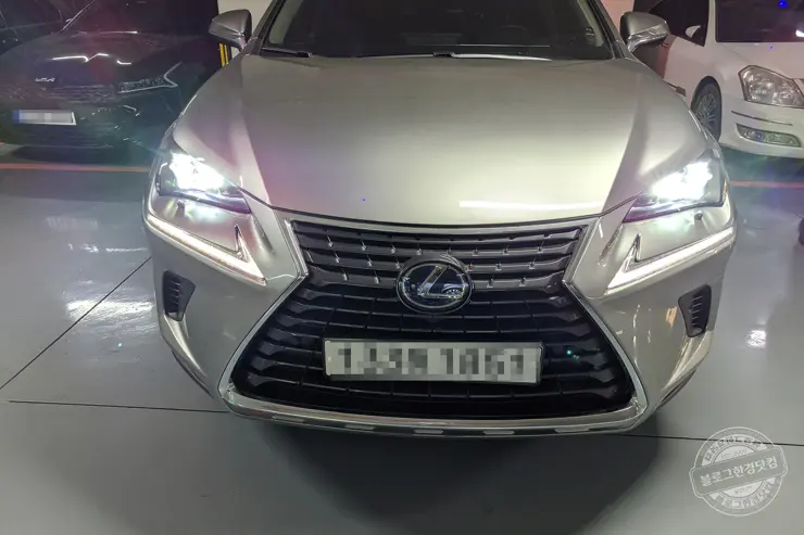 렉서스 NX300h 렌터카 일주일 시승후기 장단점 (ACC, 네비게이션)