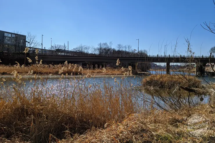 스물다섯 스물하나 촬영지 나희도 집과 터널 전주 여행