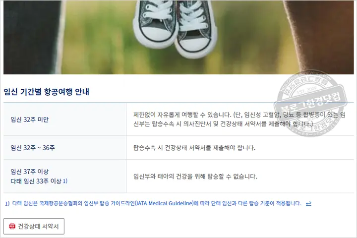 임산부 비행기 탑승 주수 대한항공 아시아나항공