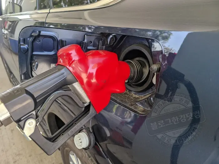 한국 코스트코(Costco) 멤버십 미국에서 사용하는 법 (훌세일 매장, 주유소)