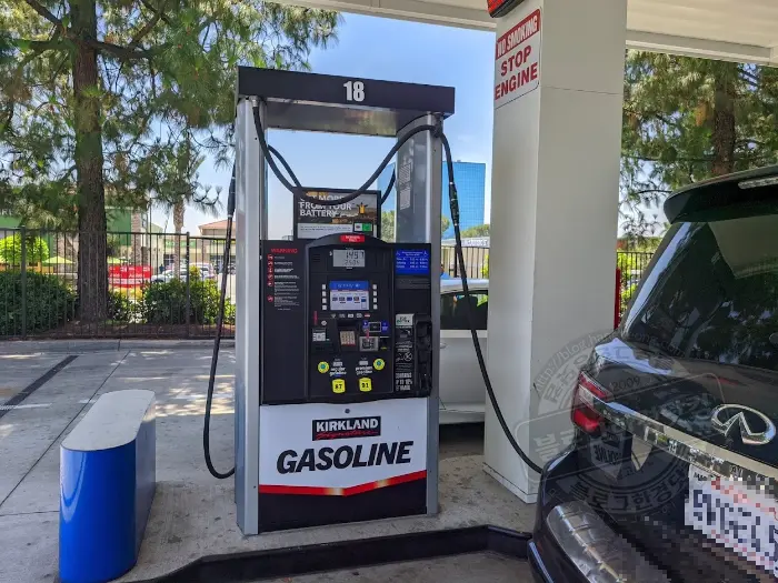 한국 코스트코(Costco) 멤버십 미국에서 사용하는 법 (훌세일 매장, 주유소)