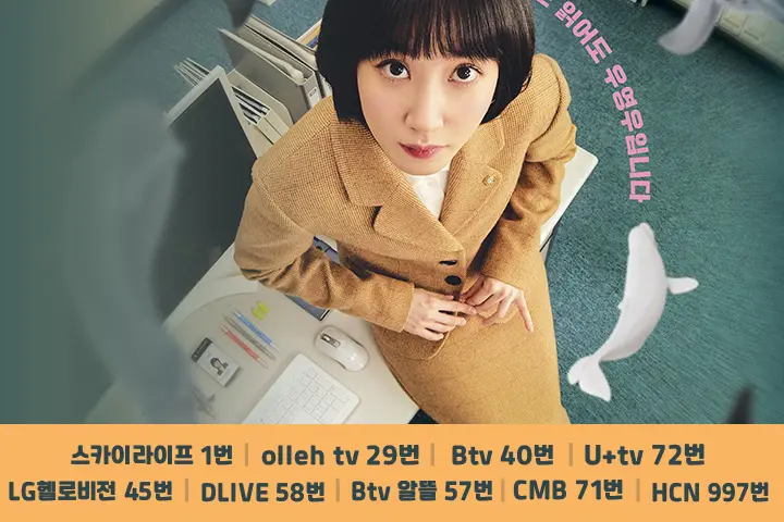 이상한 변호사 우영우 ENA 채널 몇 번? (IPTV,  케이블TV)