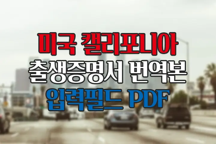 미국 캘리포니아 출생증명서 번역본 양식 입력필드 PDF