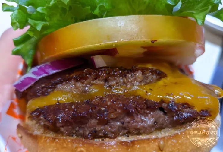 수퍼두퍼 버거 강남점 샌프란시스코 핫플 내돈내먹 후기