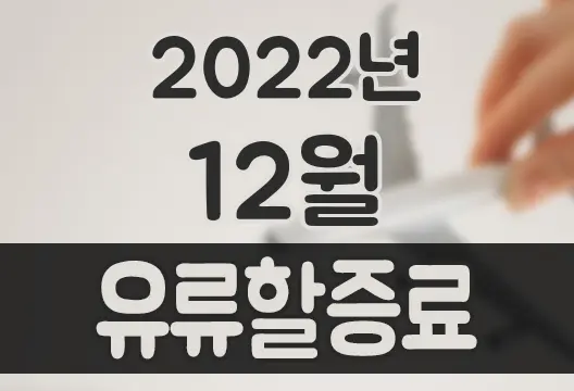 2022년 12월 대한항공 아시아나항공 유류할증료 국제선 국내선
