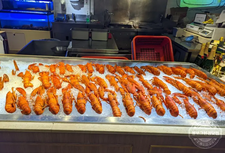 바이킹스워프 잠실점 롯데월드몰 1인 110달러 무제한 랍스터(바닷가재) 뷔페 내돈내먹