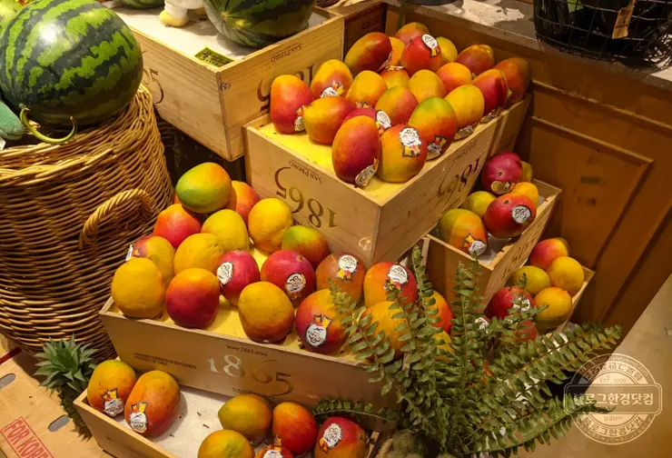 바이킹스워프 잠실점 롯데월드몰 1인 110달러 무제한 랍스터(바닷가재) 뷔페 내돈내먹