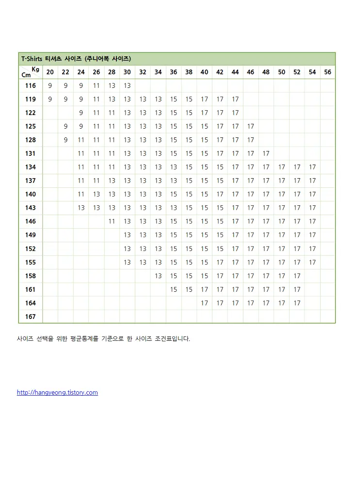 T-Shirts 티셔츠 사이즈 (주니어복 사이즈)