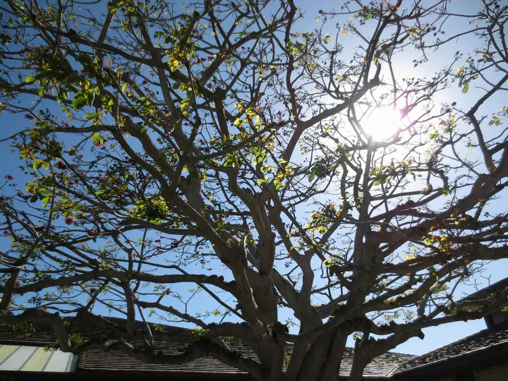 Beach Tour_Rancho Palos Verdes, Long beach, Huntington Beach