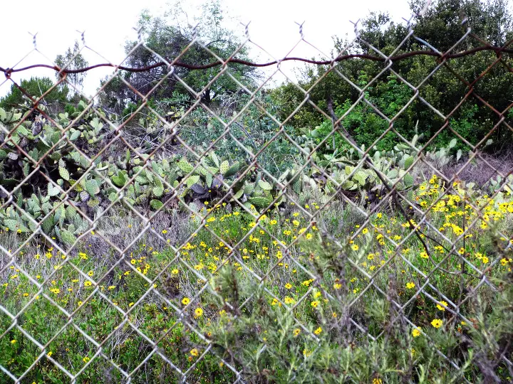 Coyote Hills, Fullerton, California