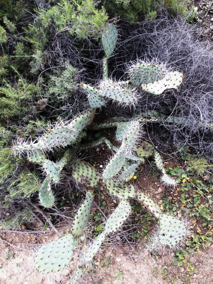 Coyote Hills, Fullerton, California