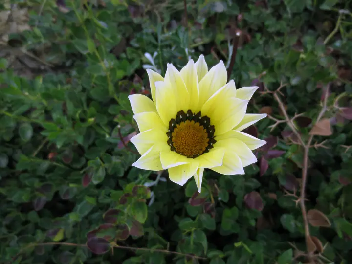 Coyote Hills, Fullerton, California