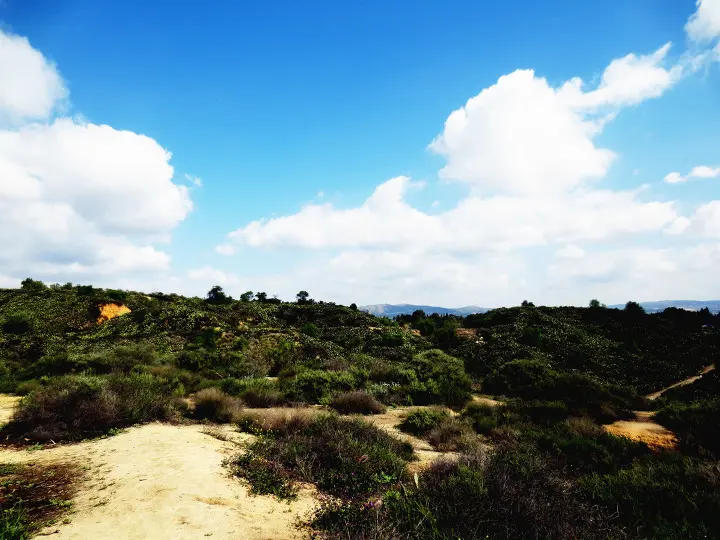 Coyote Hills, Fullerton, California