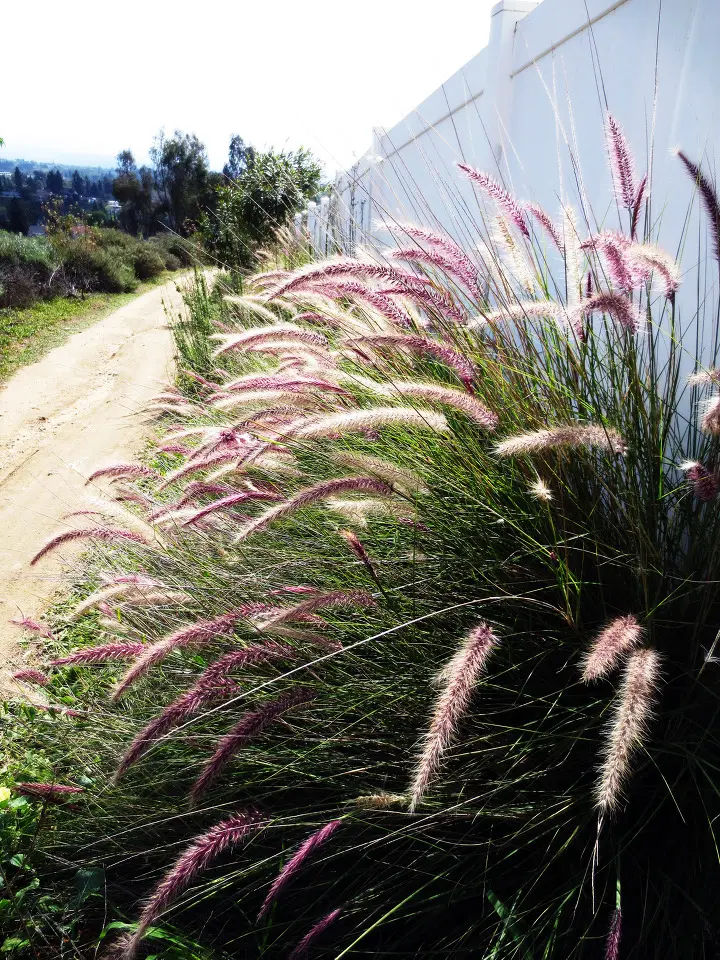 Coyote Hills, Fullerton, California