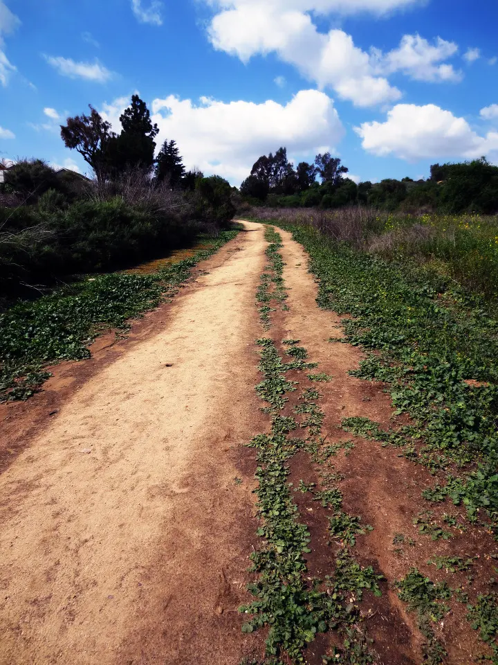 Coyote Hills, Fullerton, California