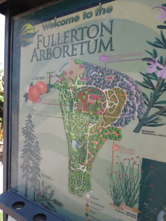 풀러튼 수목원 (Fullerton Arboretum)