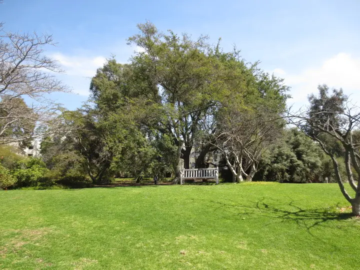 풀러튼 수목원 (Fullerton Arboretum)