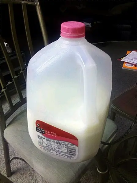 미국 생활 일기_물탄우유? Skim Milk