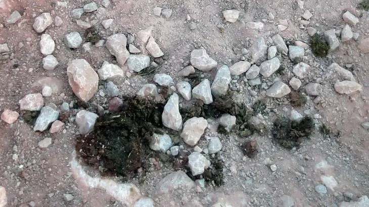 Grand Canyon 그랜드캐년, 포기하고 싶어도 포기 할 수 없다.