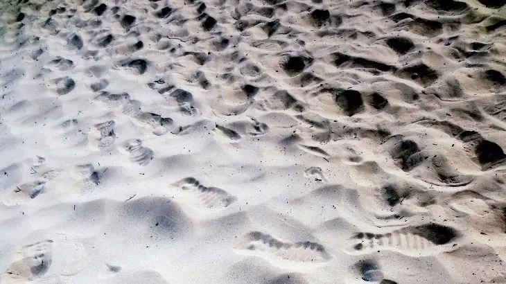 Grand Canyon 그랜드캐년, 포기하고 싶어도 포기 할 수 없다.