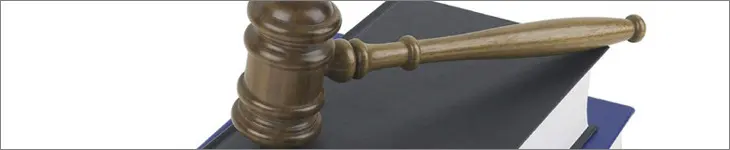 미필적 고의란?