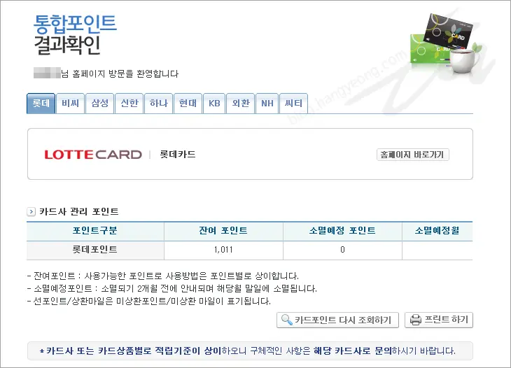본인이 소유한 모든 카드 포인트를 한 번에 조회하자