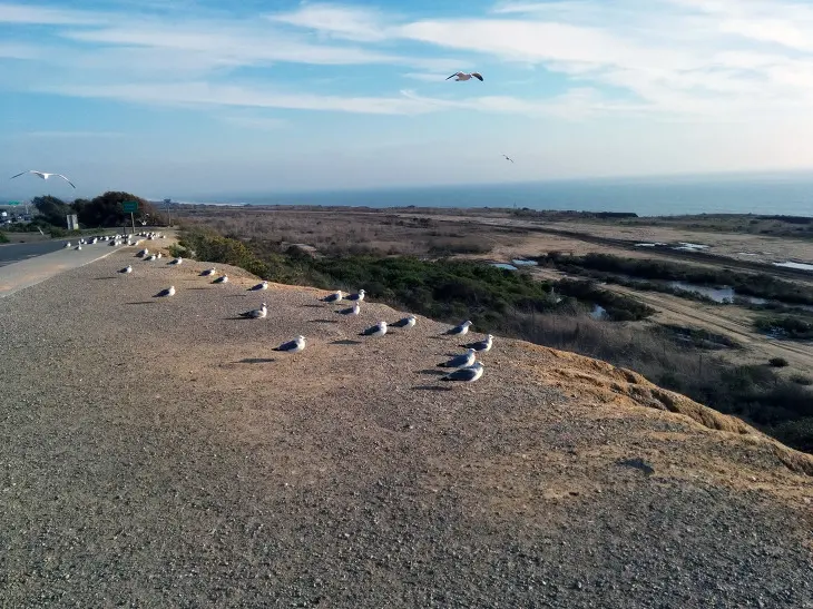 LAS FLORES VIEW POINT